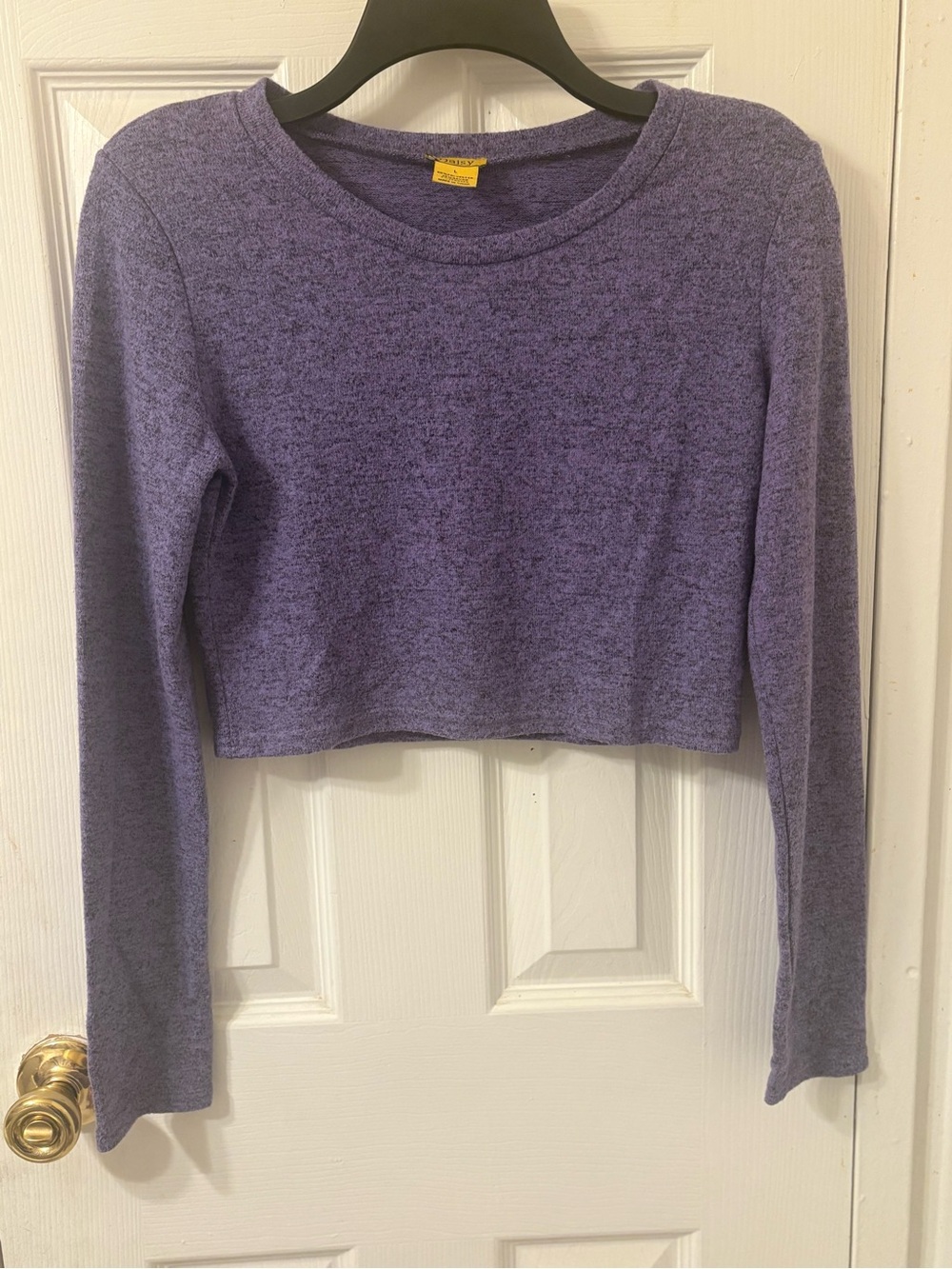 Daisy Purple Long-Sleeve Cropped Top